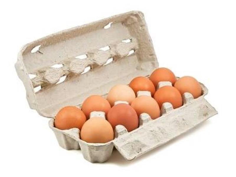Eieren maat L 10 stuks